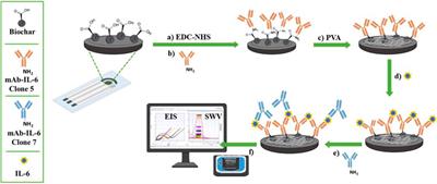 Label-free electrochemical immunosensor as a reliable point-of-care device for the detection of Interleukin-6 in serum samples from patients with psoriasis